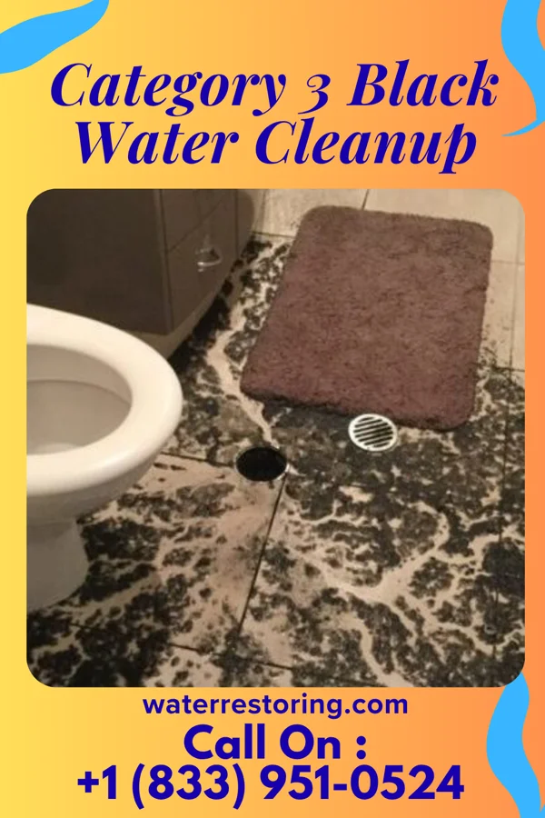 Category 3 Black Water Cleanup in Hoxie, KS